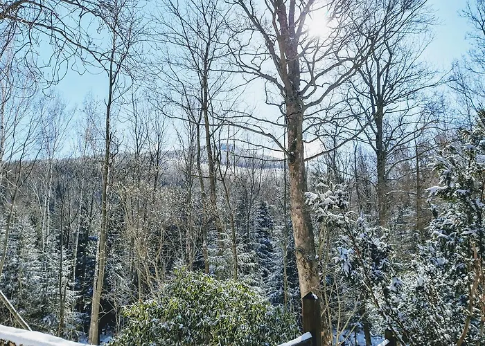 Tumitak Sarnia Family & Friends Chalet