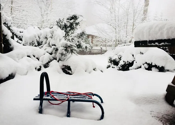 Tumitak Sarnia Family & Friends Chalet Karpacz