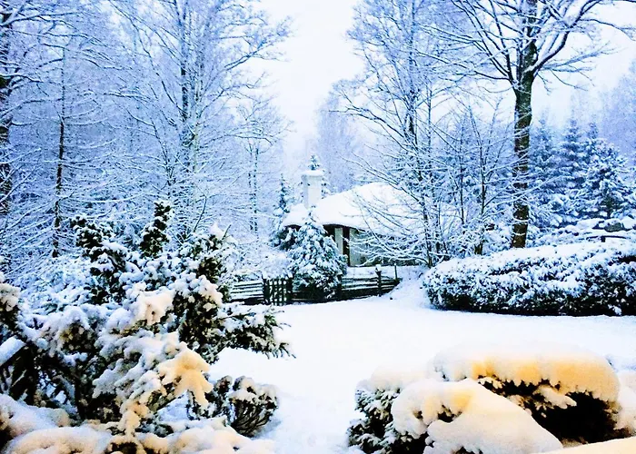 Chalet Tumitak Sarnia Family & Friends *