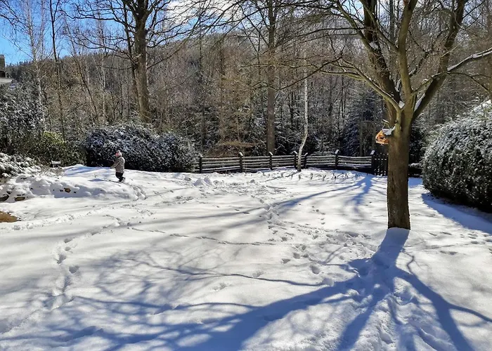 Tumitak Sarnia Family & Friends Chalet Karpacz